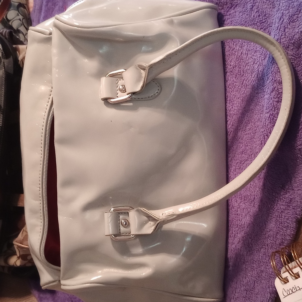 Shiny Gray purse